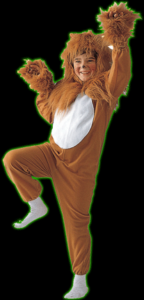 Lion Kids Costume